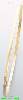 14K Gold Solid & 7Days Bangle
