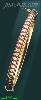 14K Gold Fancy Bangle