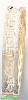 14K Gold Fancy Bangle 14K Gold Fancy Bangle
