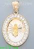 14K Gold Virgin of Guadalupe Oval 3Color Stamped CZ Charm Pendan