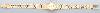 14K Gold Italian 3Color Watch