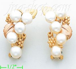 14K Gold Fancy Earrings - Click Image to Close
