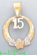 14K Gold 15 Años w/Rose 3Color Dia-Cut Charm Pendant - Click Image to Close