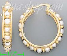 14K Gold Italian Fancy Earrings