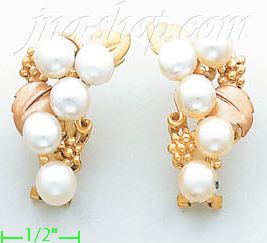 14K Gold Fancy Earrings