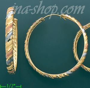 14K Gold 3Color Hoop Earrings