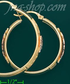 14K Gold 3Color Hoop Earrings