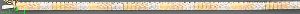 14K Gold Cleopatra Bracelet 7" 5mm