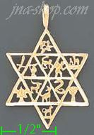 14K Gold David's Star w/Symbols Dia-Cut Charm Pendant