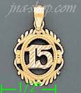 14K Gold 15 Quince Años 3Color Charm Pendant